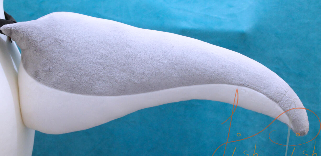 A platinum and white styled stick out raptor-like tail base for YCH designs. Created in a way it can be used as is or used by the buyer to make something truely their own without the added cost of paying someone else. handmade in the UK by FishPish Studios